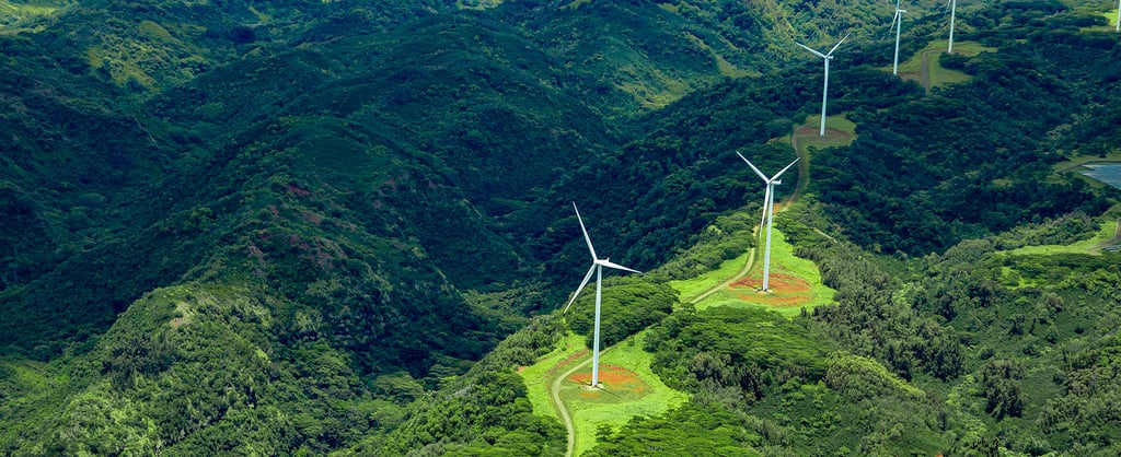 Sustainability