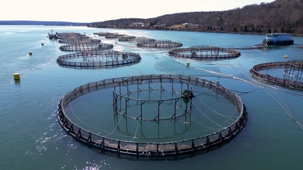 GettyImages-2220796623.jpg